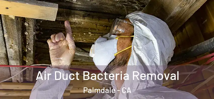  Air Duct Bacteria Removal Palmdale - CA