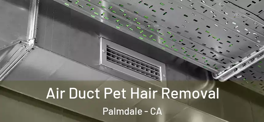 Air Duct Pet Hair Removal Palmdale - CA