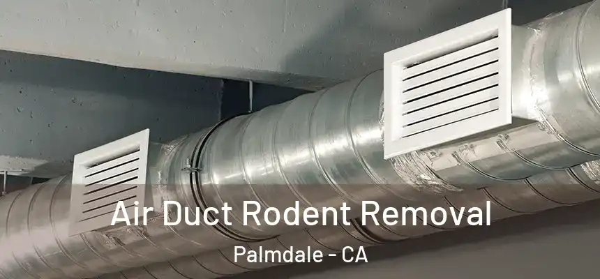 Air Duct Rodent Removal Palmdale - CA