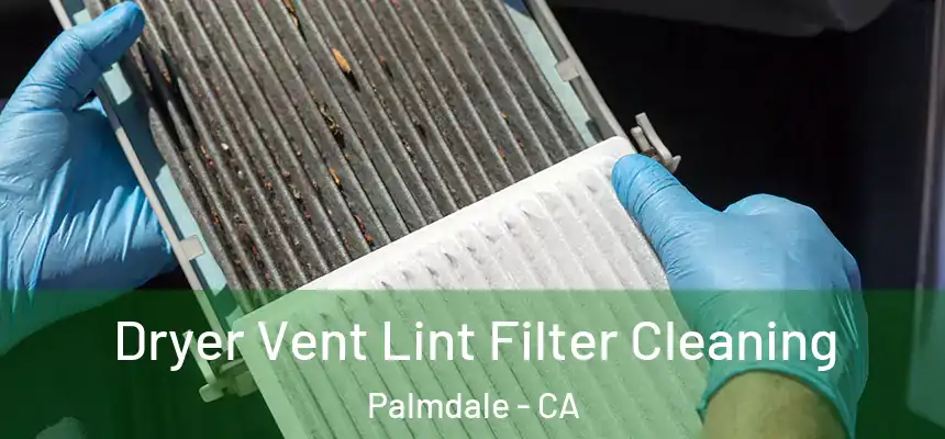 Dryer Vent Lint Filter Cleaning Palmdale - CA