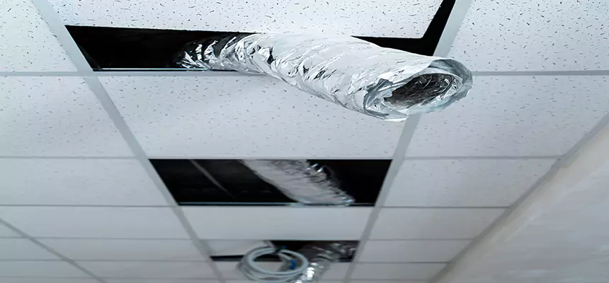 Affordable HVAC Sanitizing After Pest Removal in Palmdale