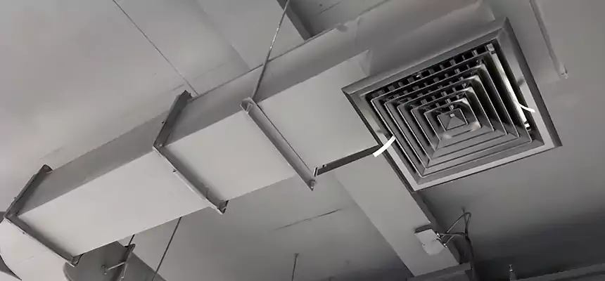 Restorative Allergy Relief Vent Cleaning – Coil, Blower & Housing Detail in Palmdale