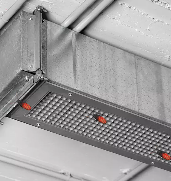 About Air Duct Cockroach Removal in Palmdale, CA