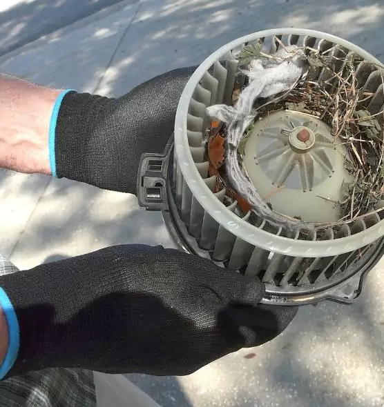 About Air Duct Mice Removal in Palmdale, CA