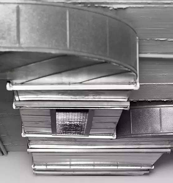 Professional Air Duct Pest Removal in Palmdale, CA