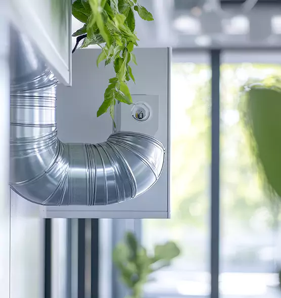 Professional Eco-Friendly Duct Cleaning Services in Palmdale, CA