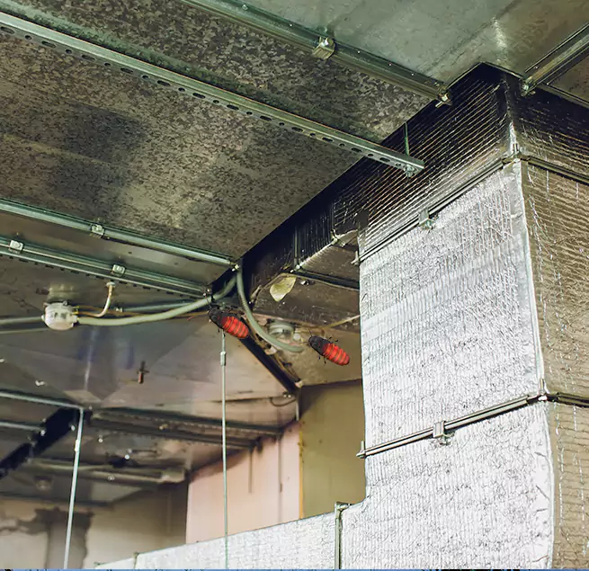 Why Homeowners & Businesses Trust Us in Palmdale, CA?