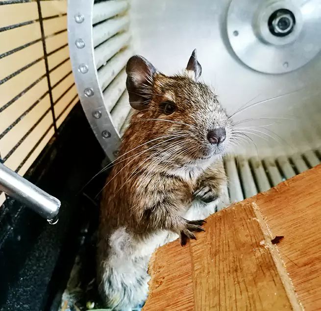 Why Homeowners & Businesses Trust Us Palmdale, CA