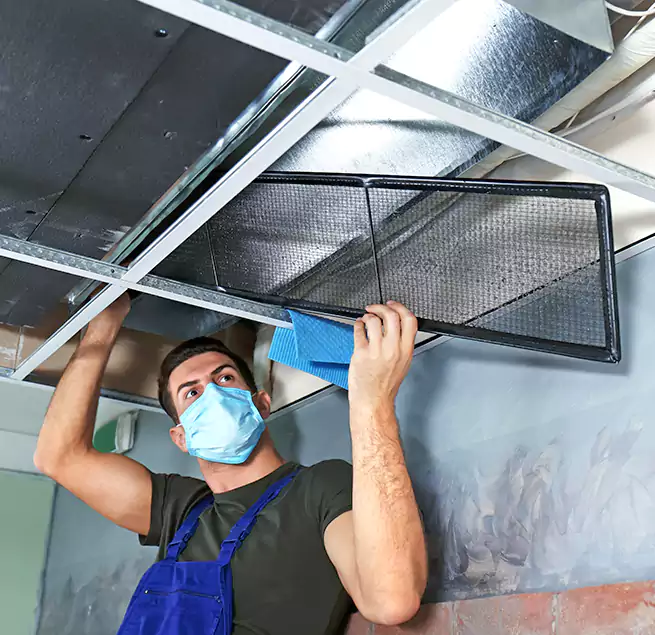 Why Homeowners Businesses Trust Us in Palmdale, CA